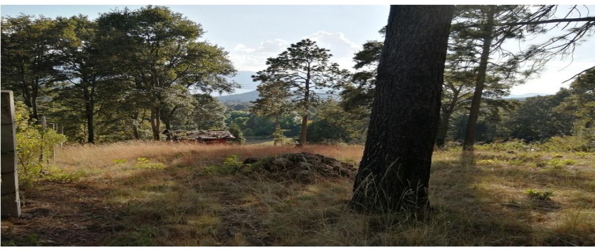 Foto de terreno habitacional en , san gabriel ixtla, valle de bravo, méxico, 28216273 foto 05 Foto de terreno habitacional en venta en , san gabriel ixtla, valle de bravo, méxico, 28216273 No. 05