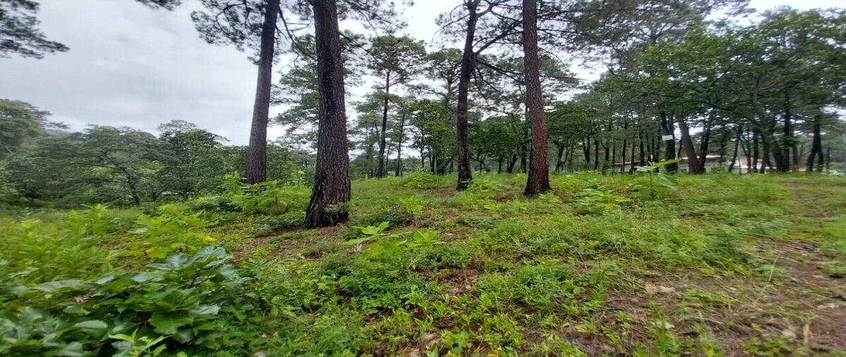Foto de terreno habitacional en venta en  , san gabriel ixtla, valle de bravo, méxico, 0 No. 05