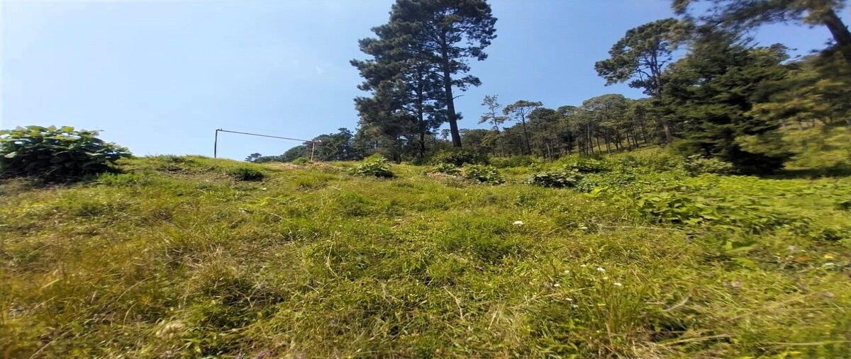 Foto de terreno habitacional en venta en  , san gabriel ixtla, valle de bravo, méxico, 0 No. 04