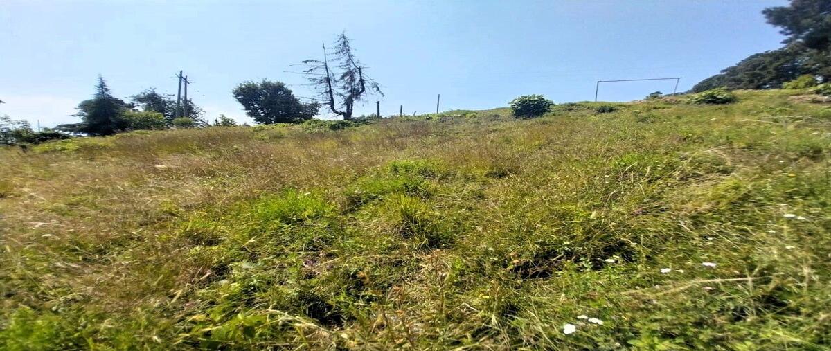 Foto de terreno habitacional en venta en  , san gabriel ixtla, valle de bravo, méxico, 0 No. 05