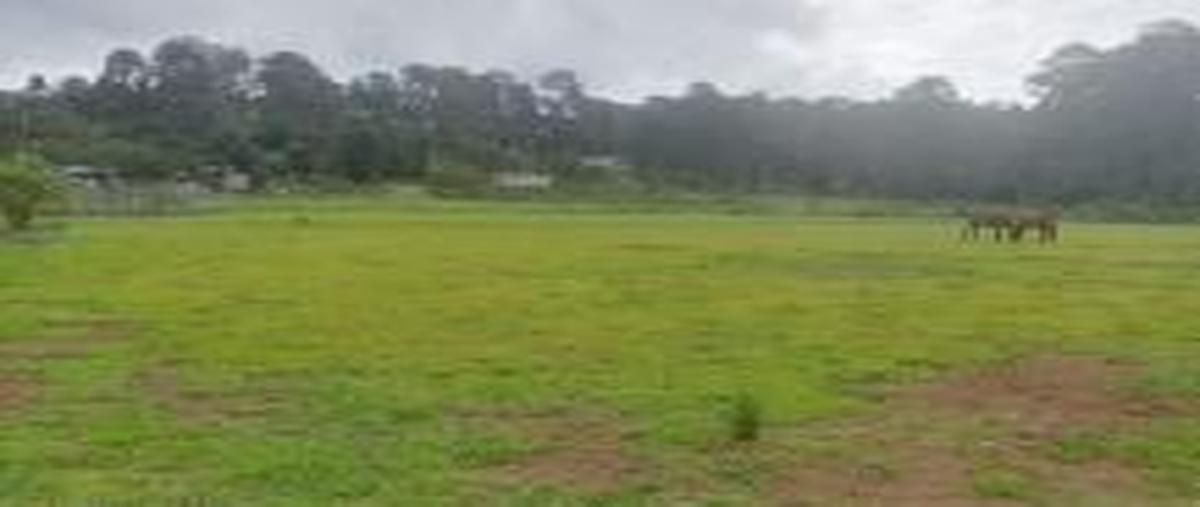 Foto de terreno habitacional en venta en  , san gabriel ixtla, valle de bravo, méxico, 30608644 No. 04