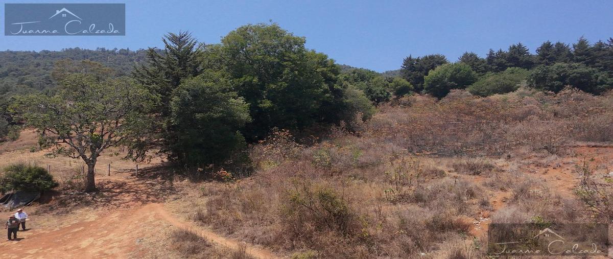 Foto de terreno habitacional en venta en  , san gabriel ixtla, valle de bravo, méxico, 0 No. 04