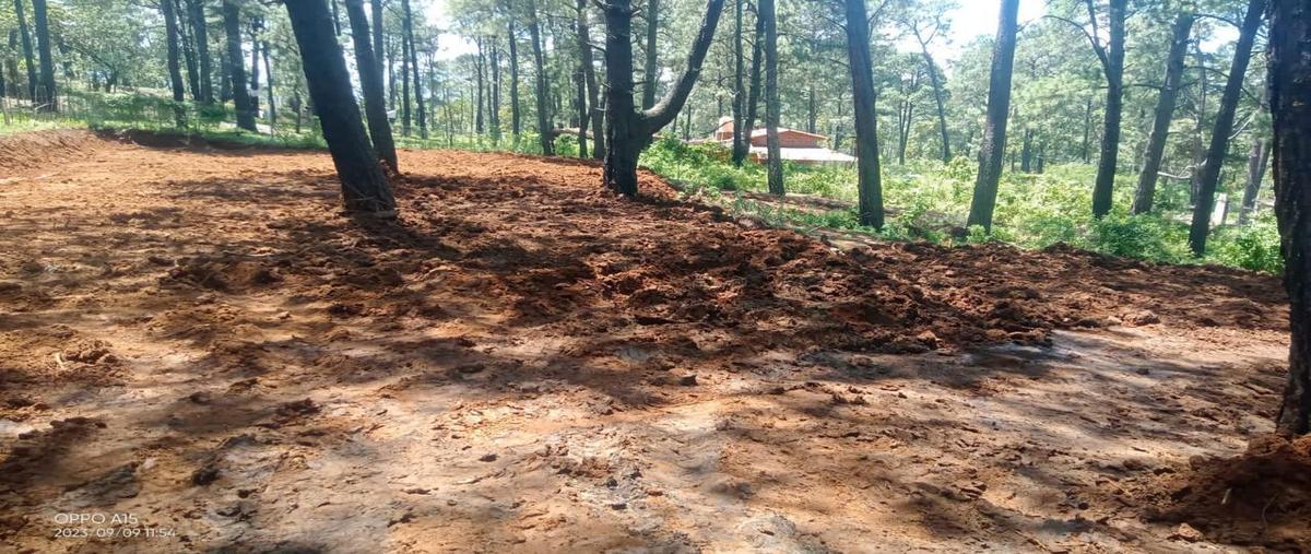 Foto de terreno habitacional en venta en  , san gabriel ixtla, valle de bravo, méxico, 0 No. 03