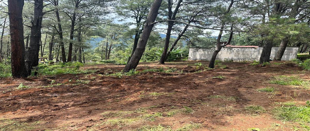 Foto de terreno habitacional en venta en  , san gabriel ixtla, valle de bravo, méxico, 0 No. 04