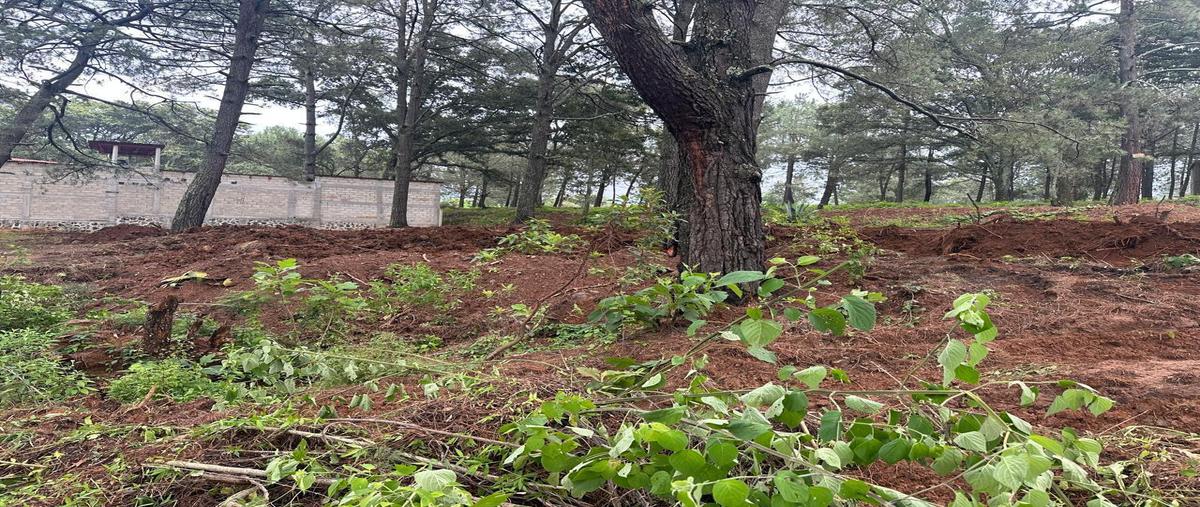 Foto de terreno habitacional en venta en  , san gabriel ixtla, valle de bravo, méxico, 0 No. 05