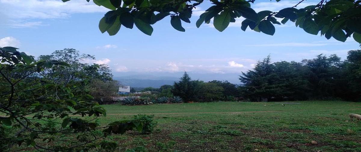 Foto de terreno habitacional en , san gabriel ixtla, valle de bravo, méxico, 7205335 foto 02 Foto de terreno habitacional en venta en , san gabriel ixtla, valle de bravo, méxico, 7205335 No. 02
