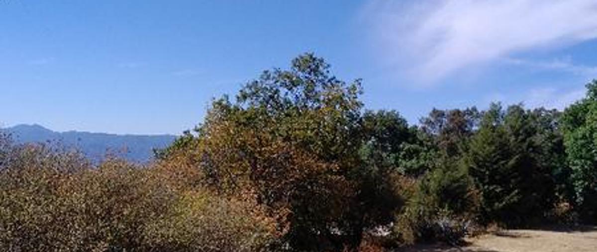 Foto de terreno habitacional en , san gabriel ixtla, valle de bravo, méxico, 7205335 foto 04 Foto de terreno habitacional en venta en , san gabriel ixtla, valle de bravo, méxico, 7205335 No. 04