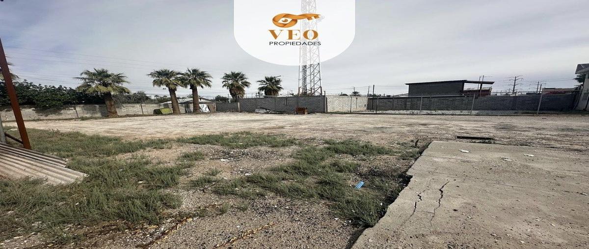 Foto de terreno habitacional en , san gabriel, mexicali, baja california, 0 foto 03 Foto de terreno habitacional en renta en , san gabriel, mexicali, baja california, 0 No. 03