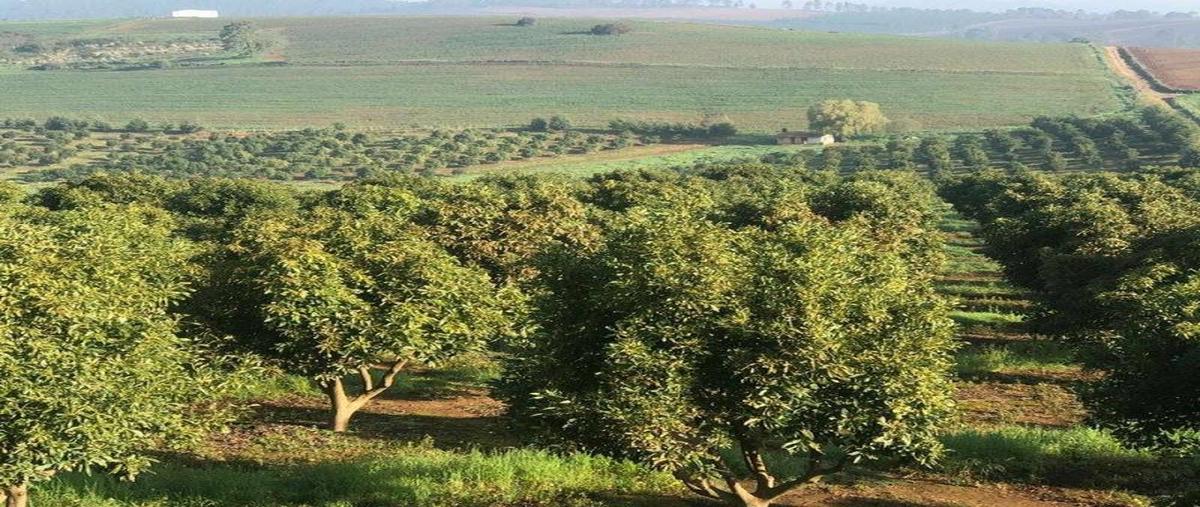 Foto de terreno comercial en venta en  , san gabriel, san gabriel, jalisco, 4286802 No. 01