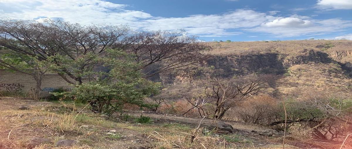 Foto de terreno habitacional en venta en  , san gaspar, tonalá, jalisco, 26845373 No. 03