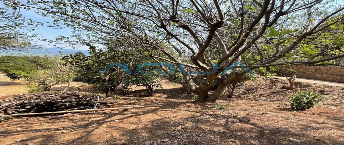 Foto de terreno habitacional en venta en  , san gaspar, valle de bravo, méxico, 26319951 No. 03