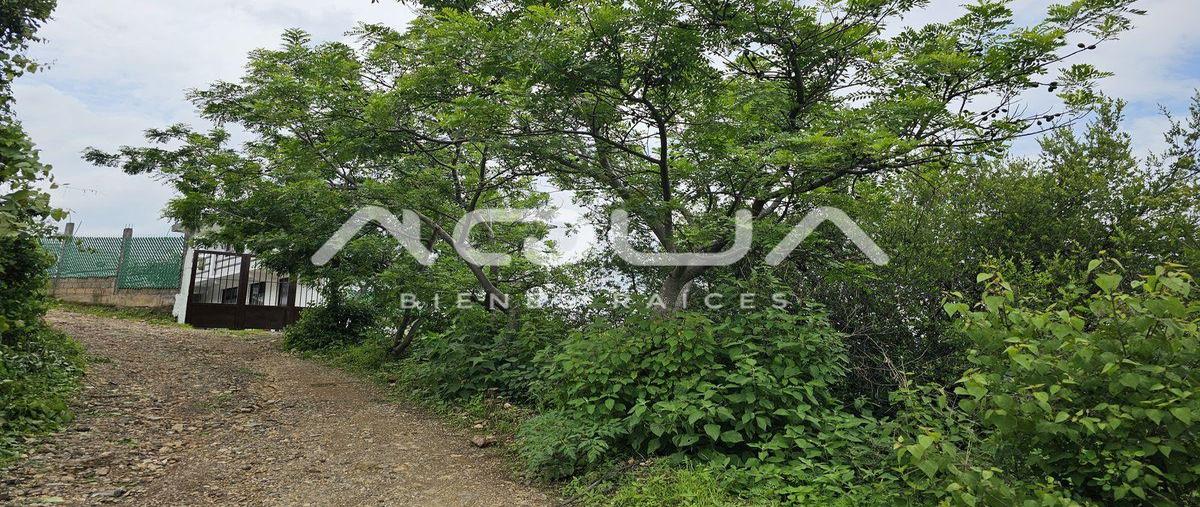 Foto de terreno habitacional en venta en  , san gaspar, valle de bravo, méxico, 0 No. 03