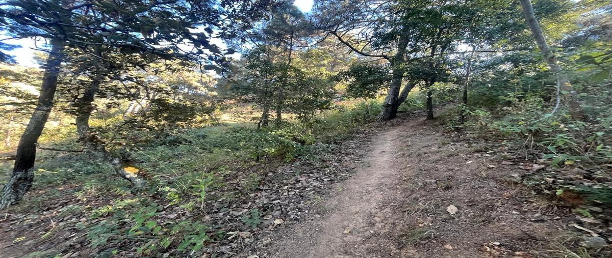 Foto de terreno habitacional en venta en  , san gaspar, valle de bravo, méxico, 0 No. 05