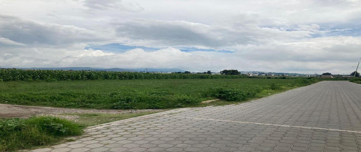 Foto de terreno habitacional en venta en  , san gregorio atzompa, san gregorio atzompa, puebla, 0 No. 01