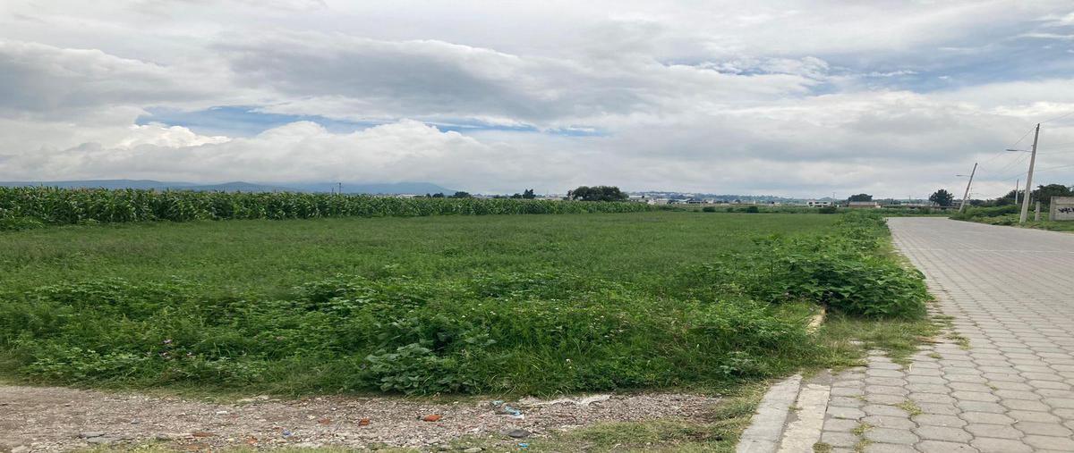 Foto de terreno habitacional en venta en  , san gregorio atzompa, san gregorio atzompa, puebla, 0 No. 04