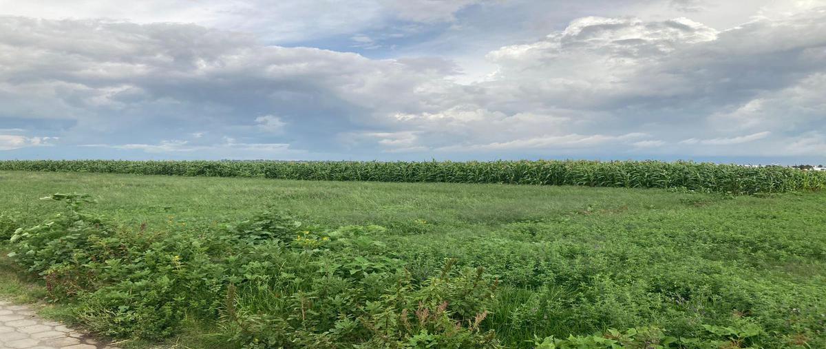 Foto de terreno habitacional en venta en  , san gregorio atzompa, san gregorio atzompa, puebla, 0 No. 05