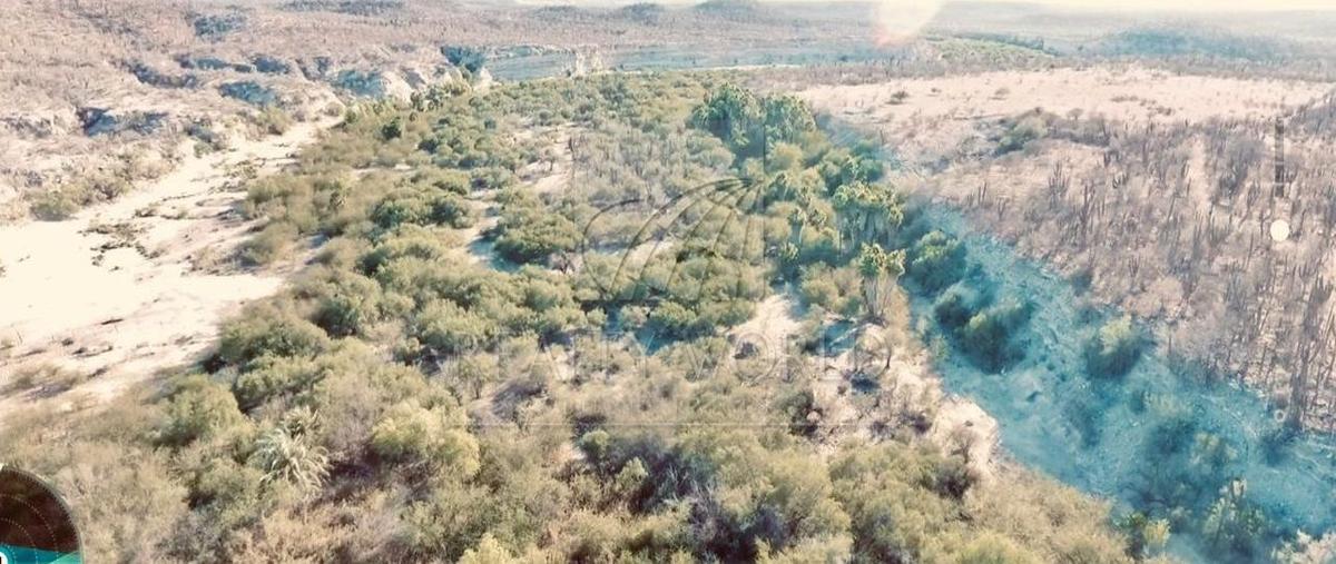 Foto de rancho en venta en  , san hilario, la paz, baja california sur, 0 No. 02