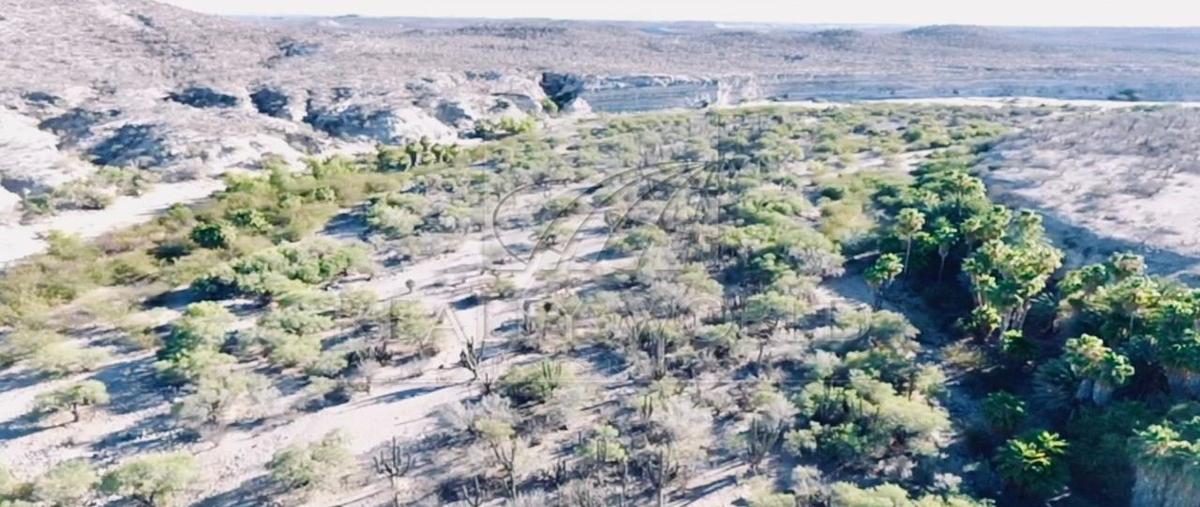 Foto de rancho en venta en  , san hilario, la paz, baja california sur, 0 No. 05