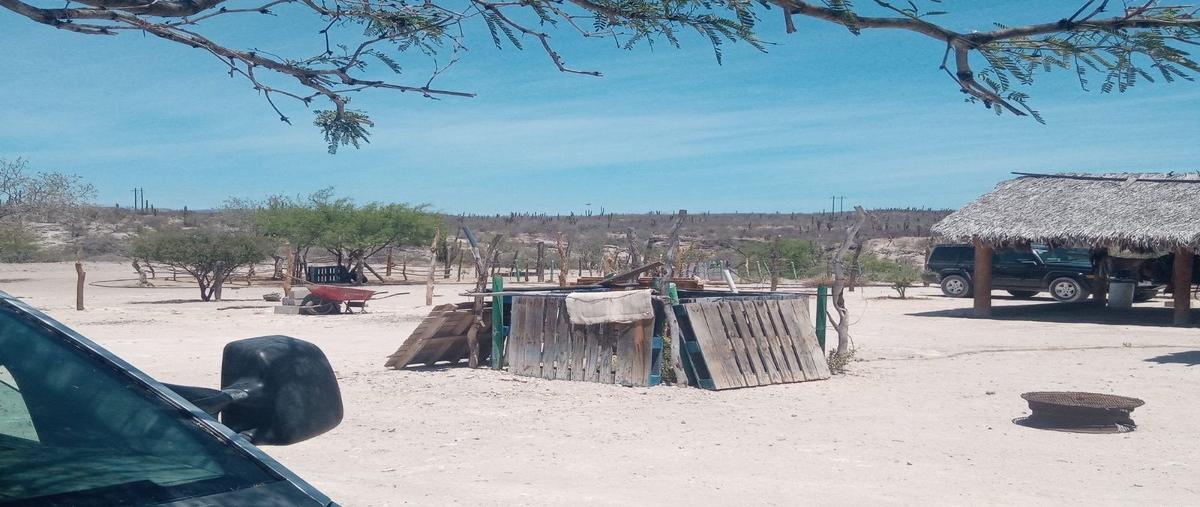 Foto de terreno habitacional en venta en san hilario , quintas san patricio, la paz, baja california sur, 0 No. 03