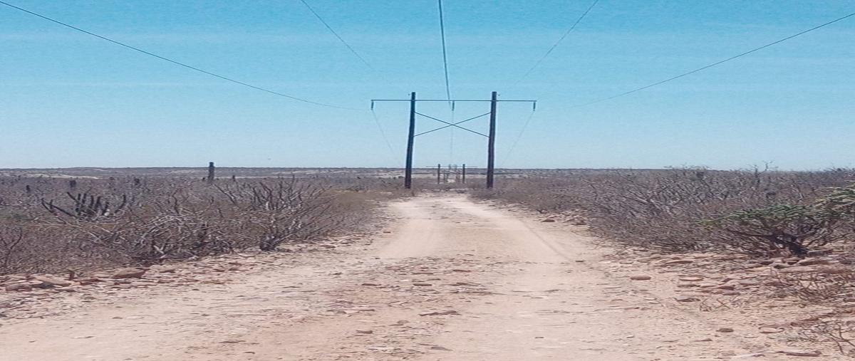 Foto de terreno habitacional en venta en san hilario , quintas san patricio, la paz, baja california sur, 0 No. 04