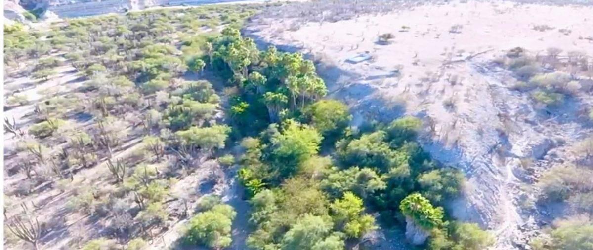Foto de rancho en venta en san hilario , san hilario, la paz, baja california sur, 0 No. 01