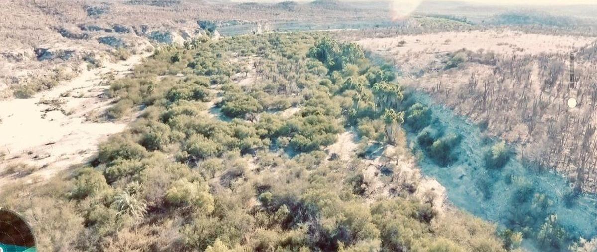 Foto de rancho en venta en san hilario , san hilario, la paz, baja california sur, 0 No. 03