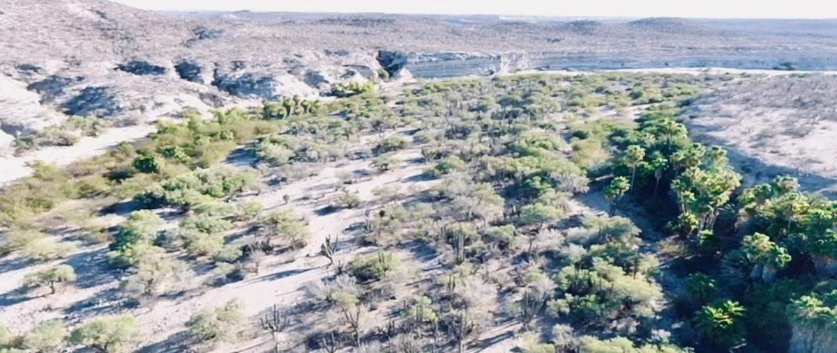 Foto de rancho en venta en san hilario , san hilario, la paz, baja california sur, 0 No. 05