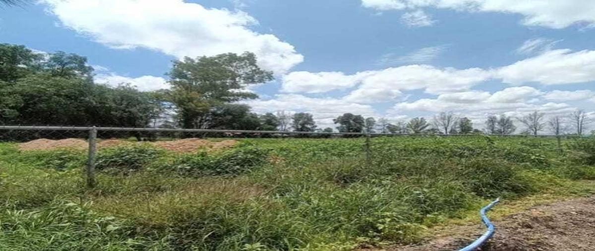 Foto de terreno habitacional en venta en  , san ignacio, aguascalientes, aguascalientes, 0 No. 05