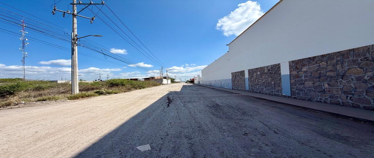 Foto de terreno habitacional en venta en  , san ignacio, apaseo el grande, guanajuato, 0 No. 04