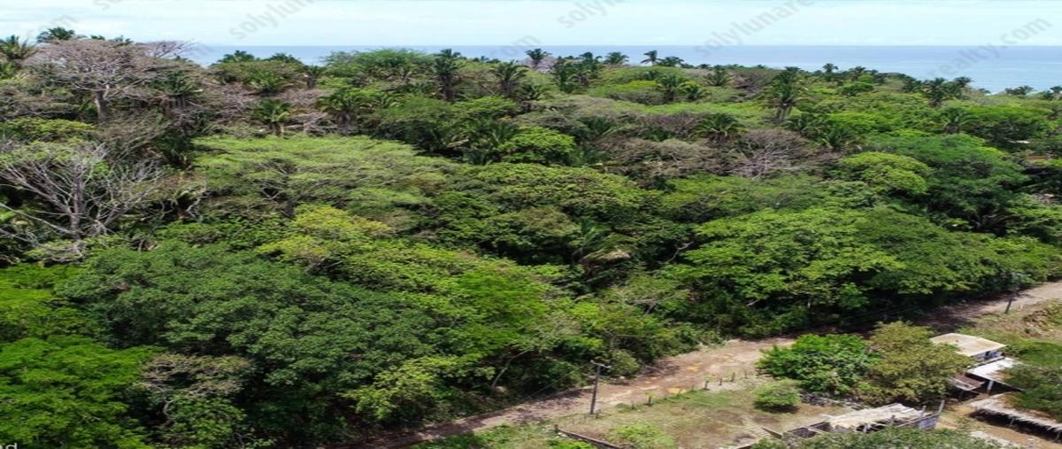 Foto de terreno habitacional en venta en  , san ignacio, bahía de banderas, nayarit, 0 No. 03
