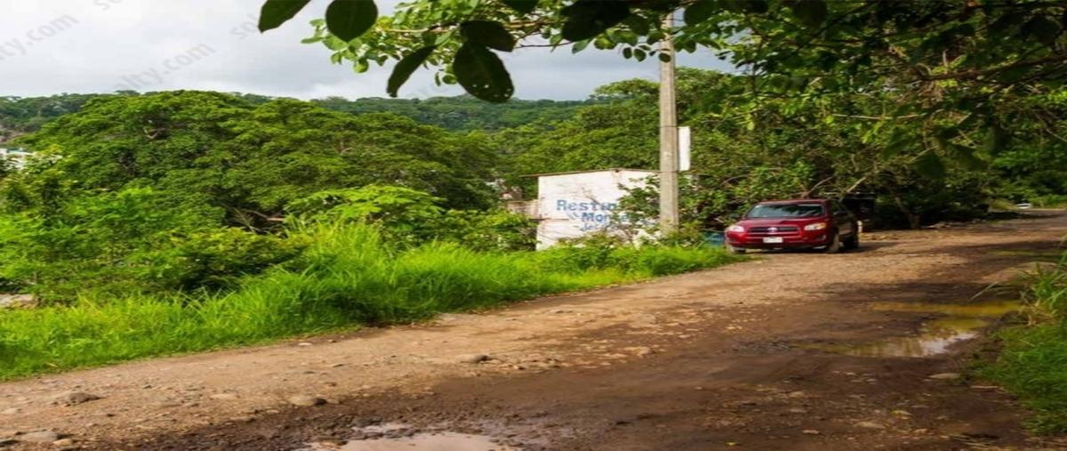 Foto de terreno habitacional en venta en  , san ignacio, bahía de banderas, nayarit, 0 No. 04