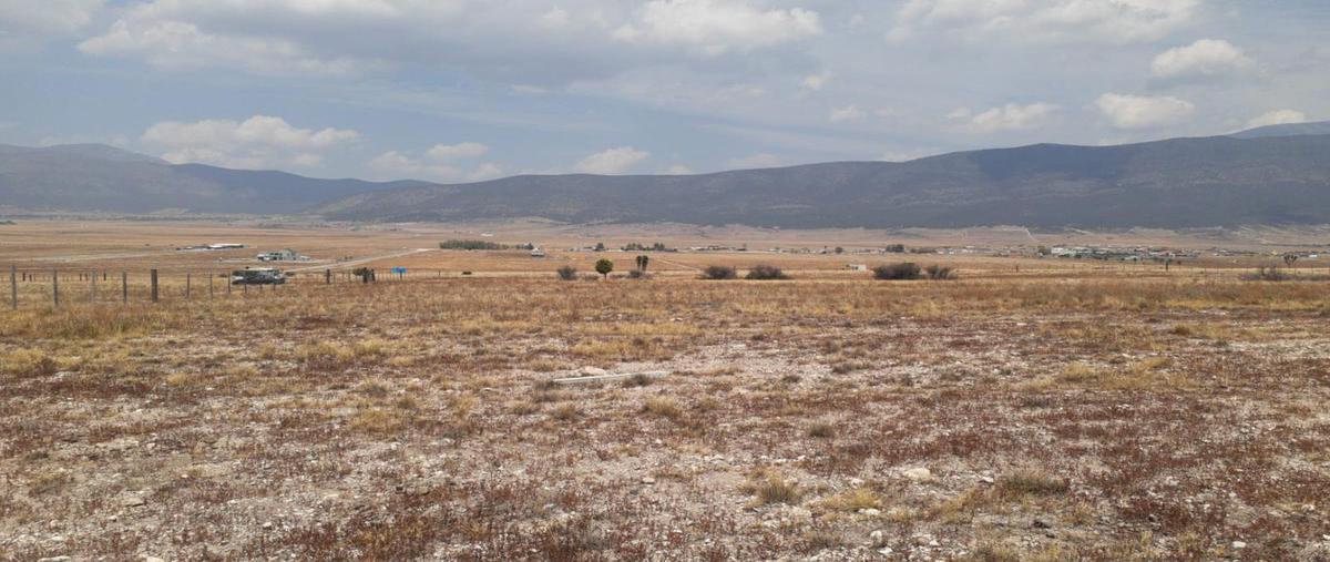 Foto de terreno habitacional en venta en  , san ignacio de abajo, arteaga, coahuila de zaragoza, 0 No. 04