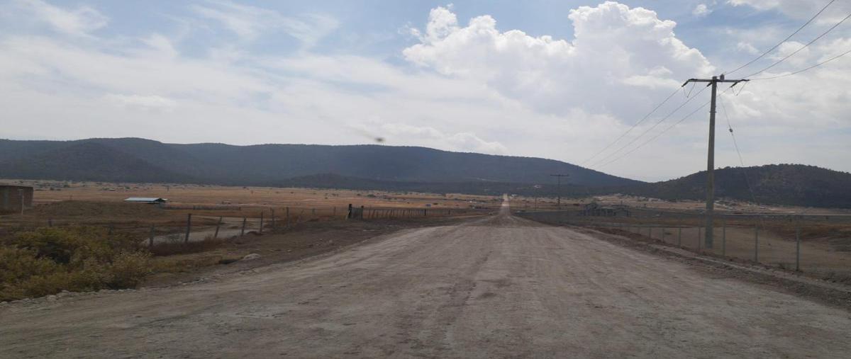 Foto de terreno habitacional en venta en  , san ignacio de abajo, arteaga, coahuila de zaragoza, 0 No. 05