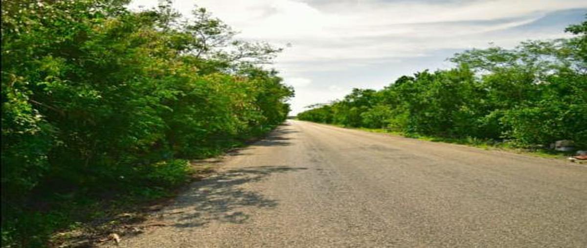Foto de terreno habitacional en venta en  , san ignacio, progreso, yucatán, 0 No. 04