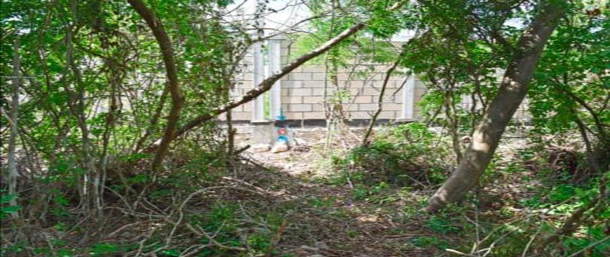 Foto de terreno habitacional en venta en  , san ignacio, progreso, yucatán, 0 No. 05