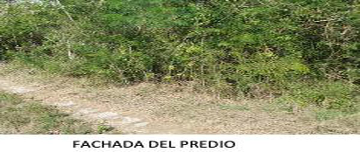 Foto de terreno habitacional en , san ignacio, progreso, yucatán, 25533032 foto 02 Foto de terreno habitacional en venta en , san ignacio, progreso, yucatán, 25533032 No. 02