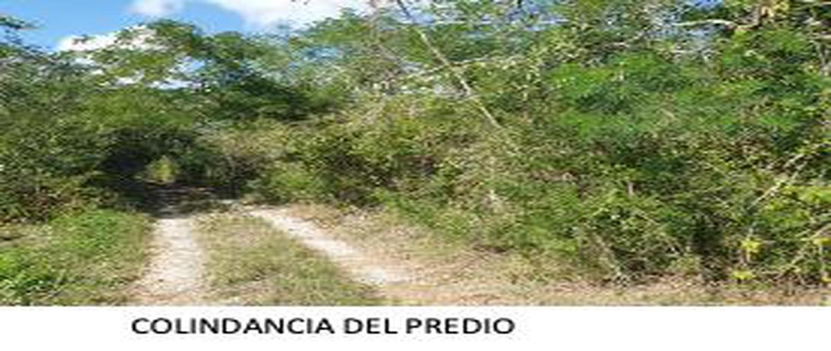 Foto de terreno habitacional en , san ignacio, progreso, yucatán, 25533032 foto 03 Foto de terreno habitacional en venta en , san ignacio, progreso, yucatán, 25533032 No. 03