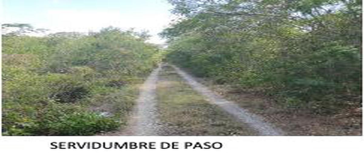 Foto de terreno habitacional en , san ignacio, progreso, yucatán, 25533032 foto 04 Foto de terreno habitacional en venta en , san ignacio, progreso, yucatán, 25533032 No. 04