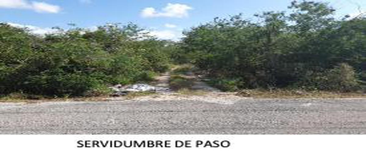 Foto de terreno habitacional en , san ignacio, progreso, yucatán, 25533032 foto 05 Foto de terreno habitacional en venta en , san ignacio, progreso, yucatán, 25533032 No. 05