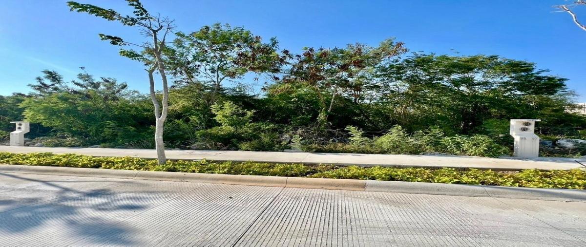 Foto de terreno habitacional en venta en  , san ignacio, progreso, yucatán, 28011864 No. 03