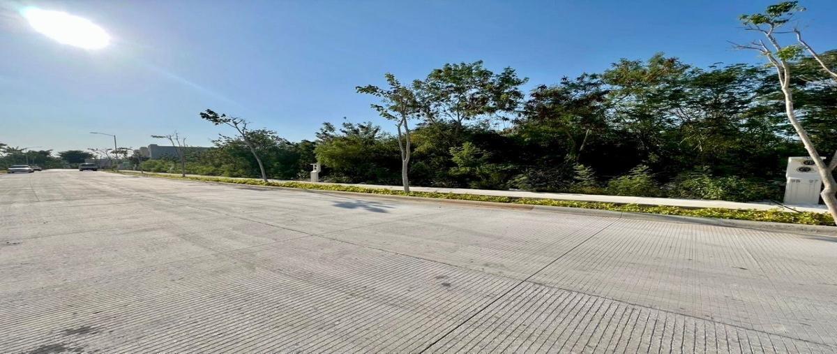 Foto de terreno habitacional en venta en  , san ignacio, progreso, yucatán, 28011864 No. 04