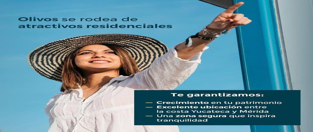 Foto de terreno habitacional en venta en  , san ignacio, progreso, yucatán, 0 No. 03