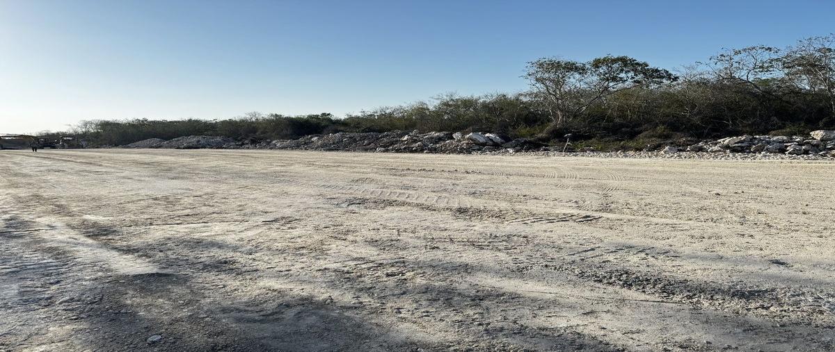 Foto de terreno habitacional en , san ignacio, progreso, yucatán, 0 foto 03 Foto de terreno habitacional en venta en , san ignacio, progreso, yucatán, 0 No. 03