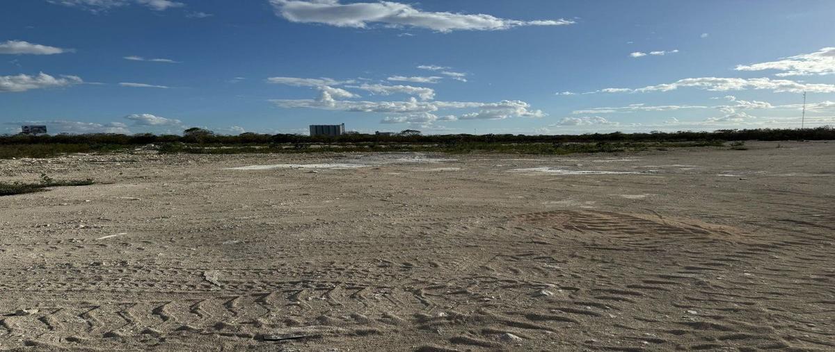 Foto de terreno industrial en , san ignacio, progreso, yucatán, 29487317 foto 02 Foto de terreno industrial en venta en , san ignacio, progreso, yucatán, 29487317 No. 02