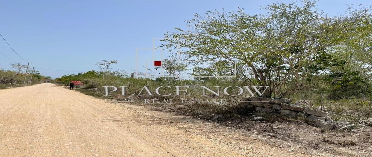 Foto de terreno comercial en venta en  , san ignacio, progreso, yucatán, 0 No. 03
