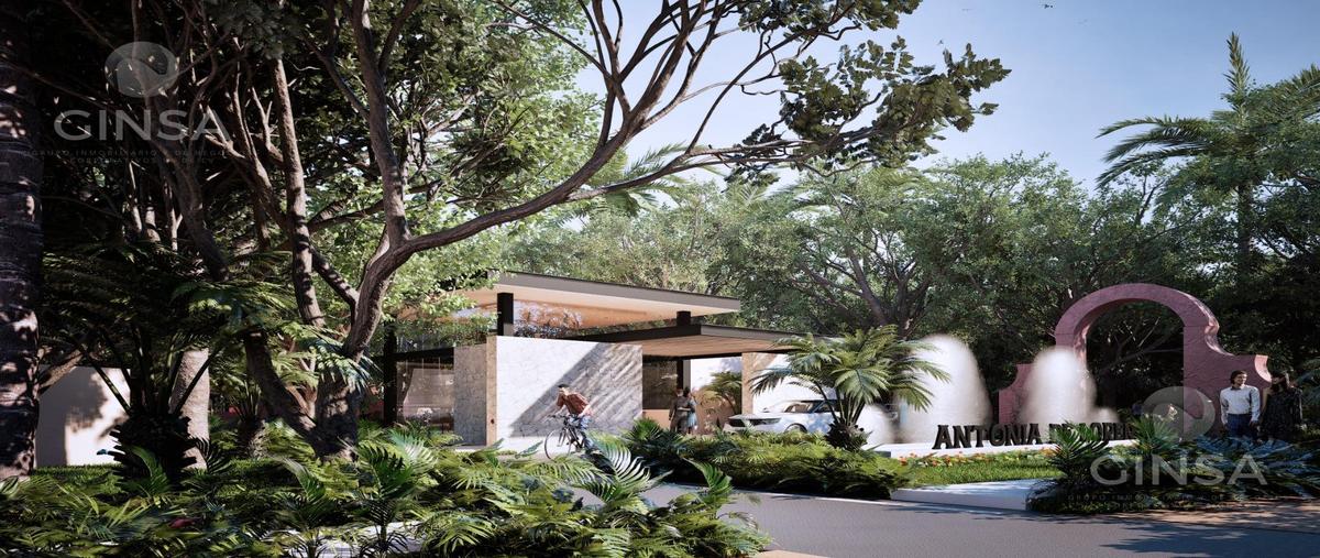 Foto de terreno habitacional en venta en  , san ignacio, progreso, yucatán, 29551813 No. 04