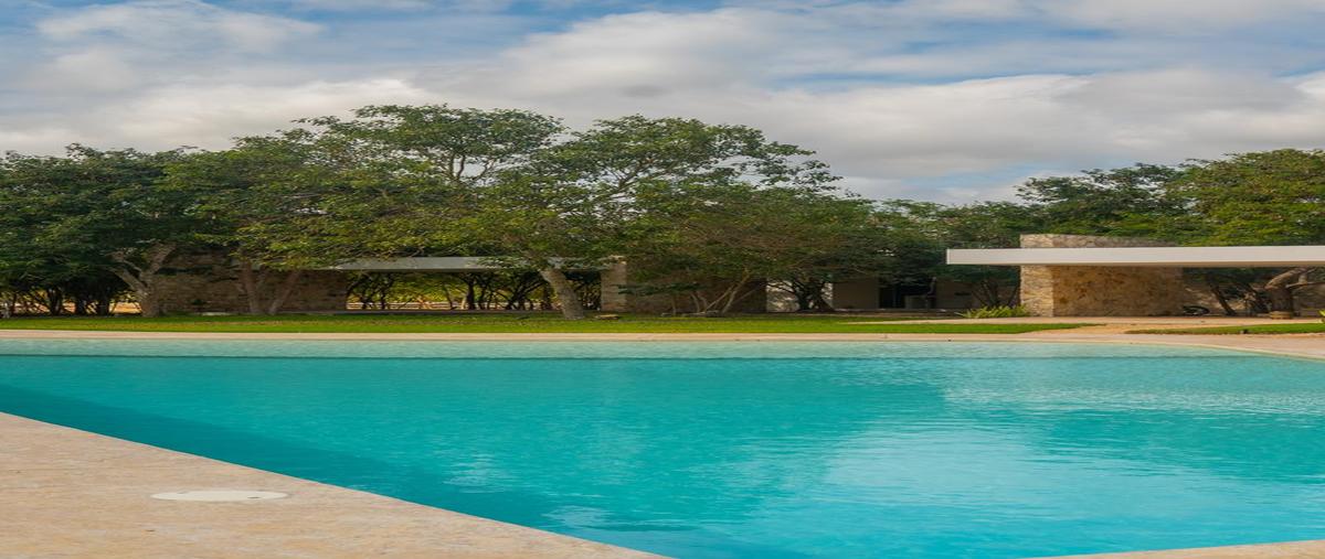 Foto de terreno habitacional en venta en  , san ignacio, progreso, yucatán, 29552895 No. 04