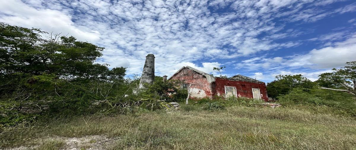 Foto de terreno habitacional en venta en  , san ignacio, progreso, yucatán, 29629571 No. 04