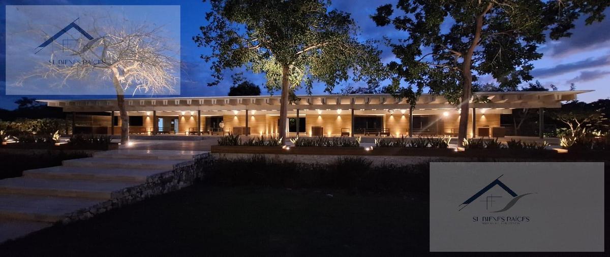 Foto de terreno habitacional en venta en  , san ignacio, progreso, yucatán, 29881267 No. 04
