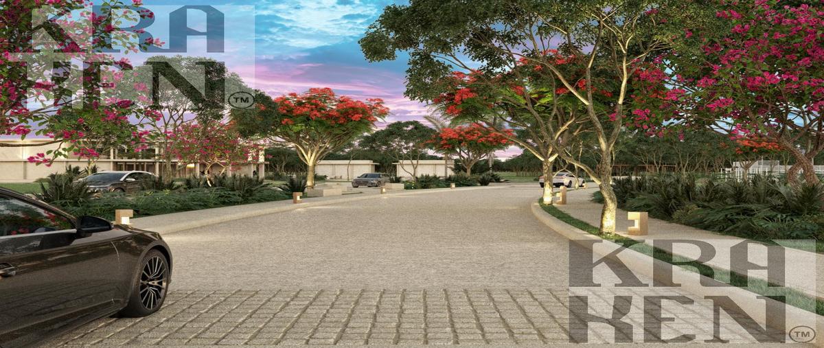 Foto de terreno habitacional en , san ignacio, progreso, yucatán, 29982197 foto 03 Foto de terreno habitacional en venta en , san ignacio, progreso, yucatán, 29982197 No. 03